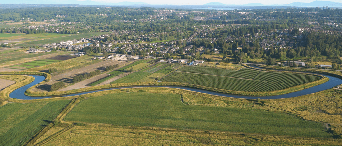 An aerial shot shows part of Surrey's dyke systems.